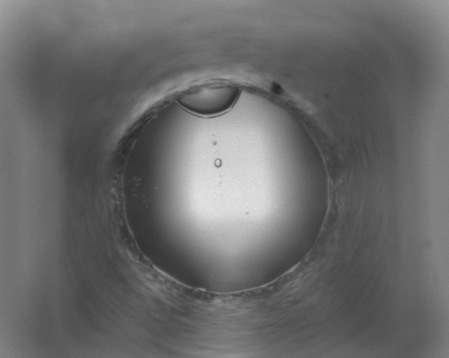 X0000062141496200512231451