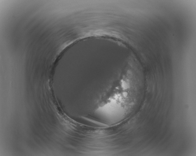 X0000062141497200512231451