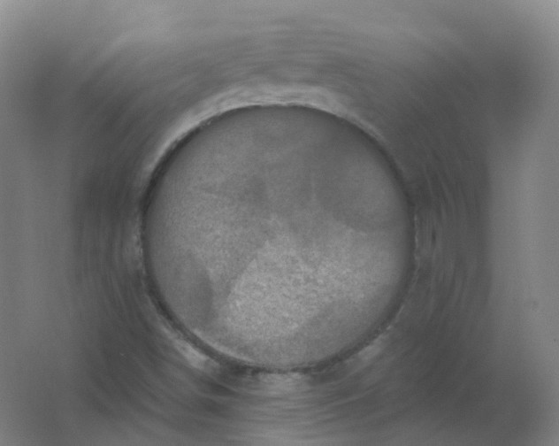 X0000062141498200512231451