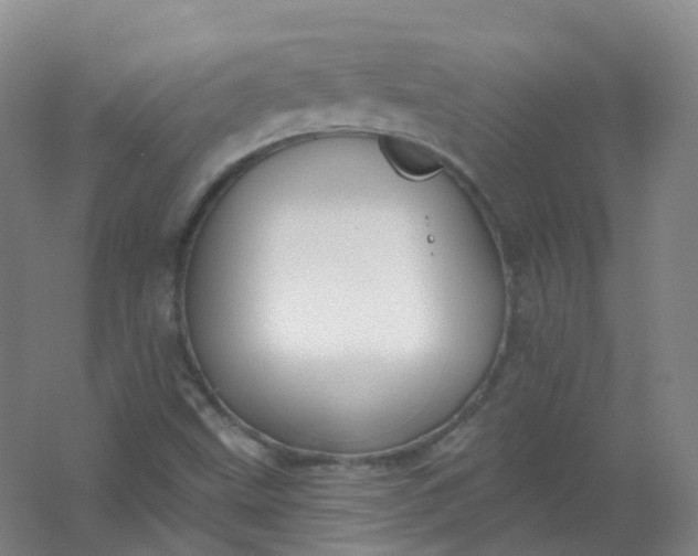 X0000062141499200512231451