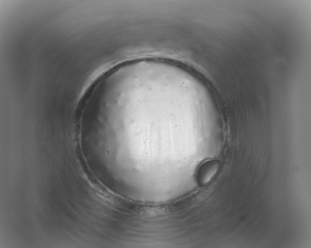 X0000062141501200512231451