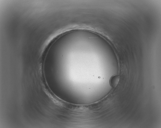 X0000062141503200512231451