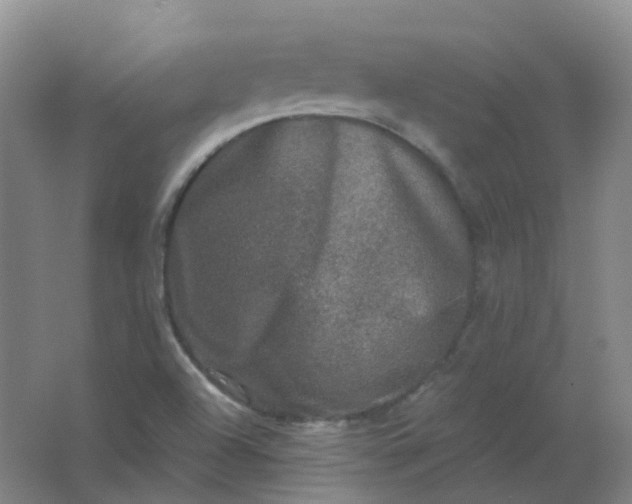 X0000062141504200512231451