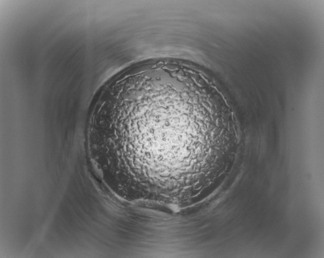 X0000062141505200512231451