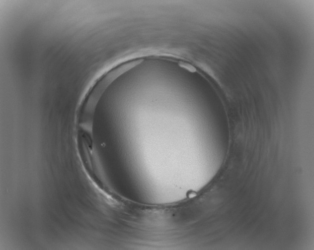 X0000062141508200512231451