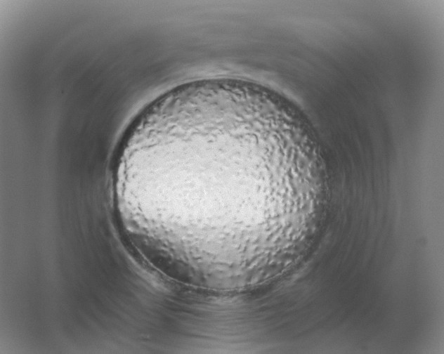 X0000062141509200512231451