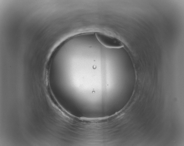 X0000062141510200512231451