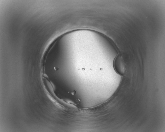 X0000062141511200512231451