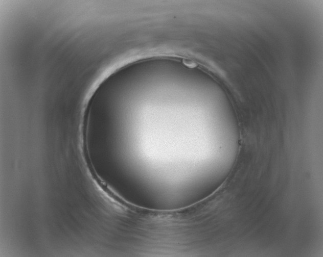 X0000062141512200512231451