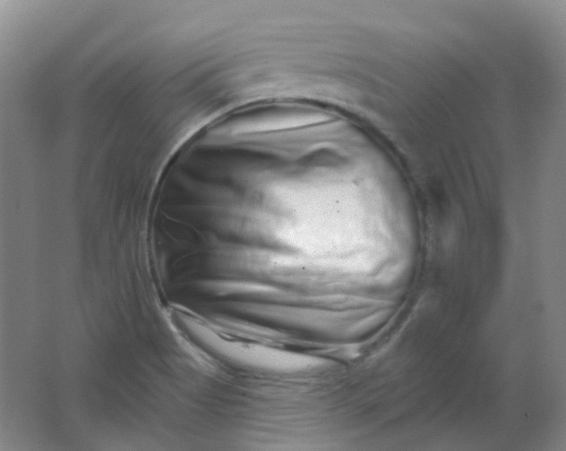 X0000062141513200512231451