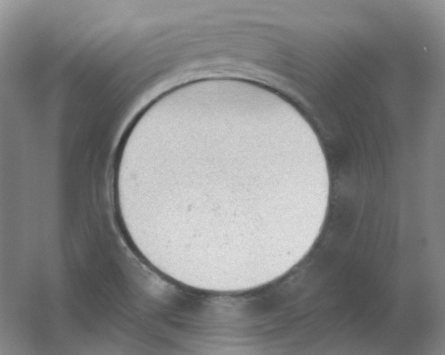 X0000062141514200512231451