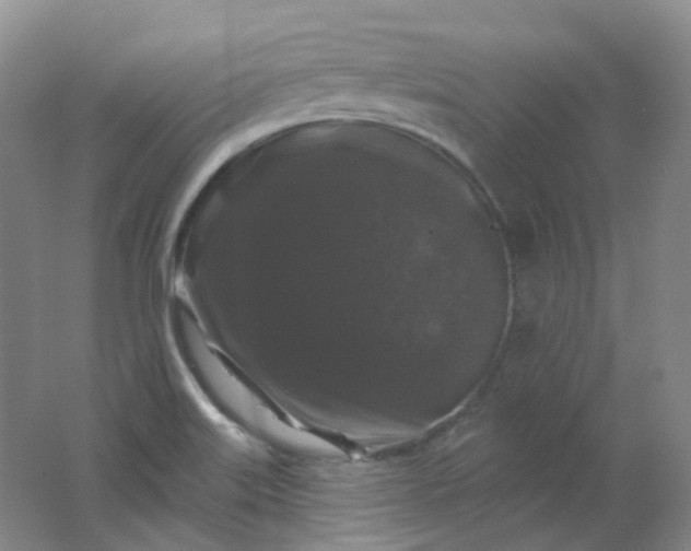 X0000062141515200512231451