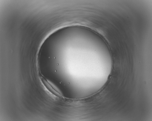 X0000062141516200512231451