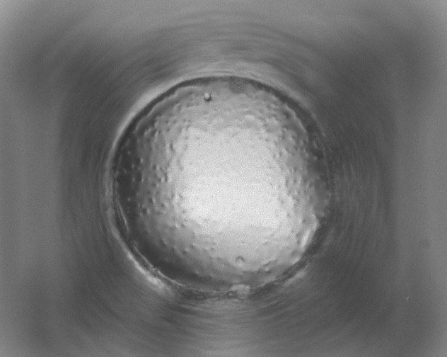 X0000062141517200512231451