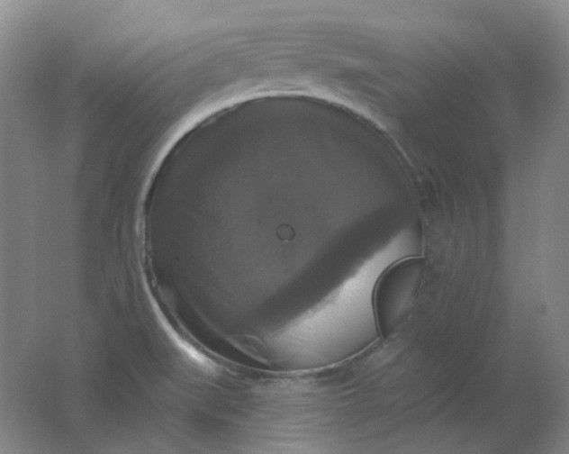 X0000062141519200512231451