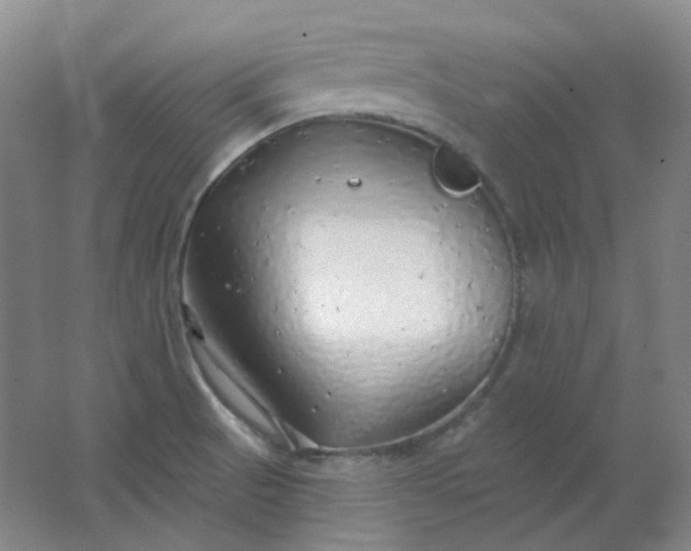 X0000062141521200512231451