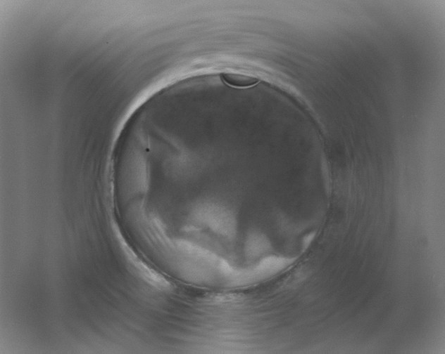 X0000062141522200512231451