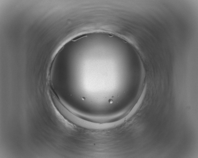 X0000062141524200512231451