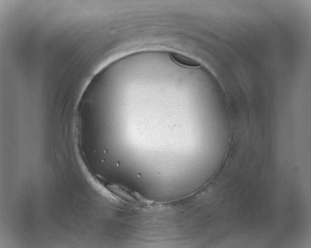 X0000062141526200512231451