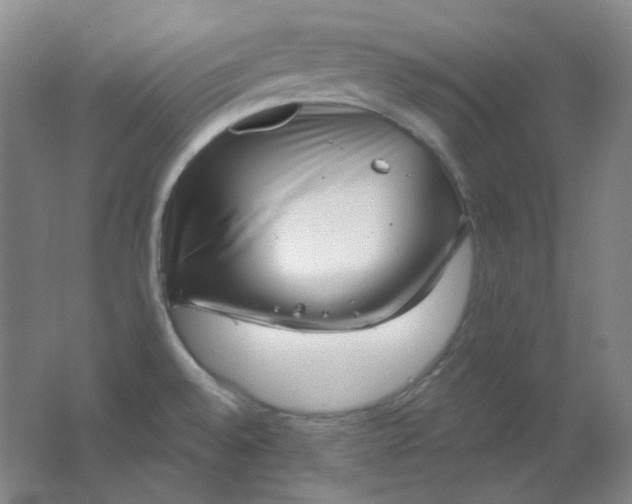 X0000062141528200512231451