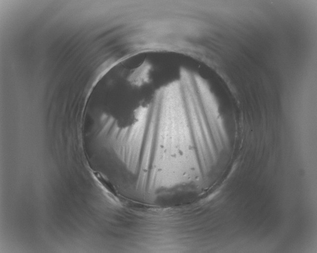 X0000062141529200512231451