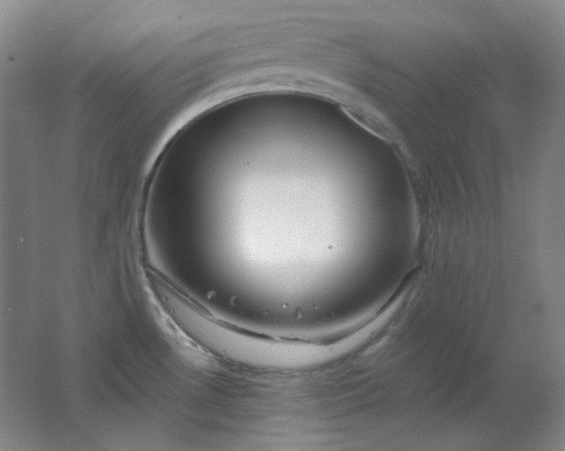 X0000062141530200512231451