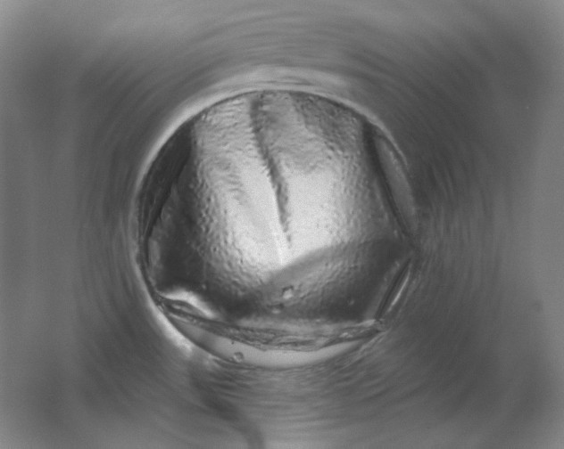 X0000062141531200512231451