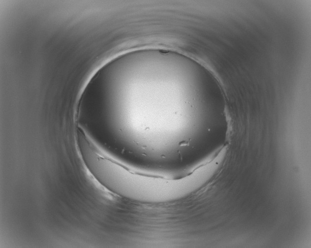 X0000062141532200512231451