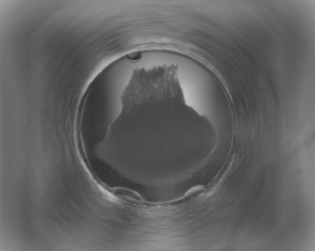 X0000062141533200512231451