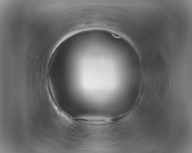 X0000062141534200512231451