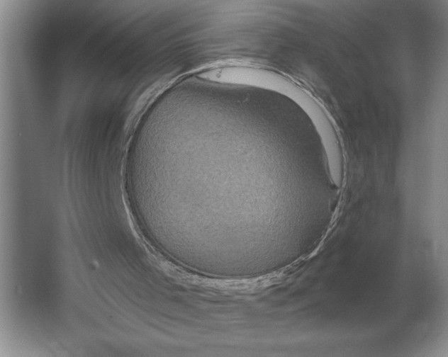 X0000062140001200512301539