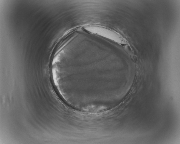 X0000062140002200512301539