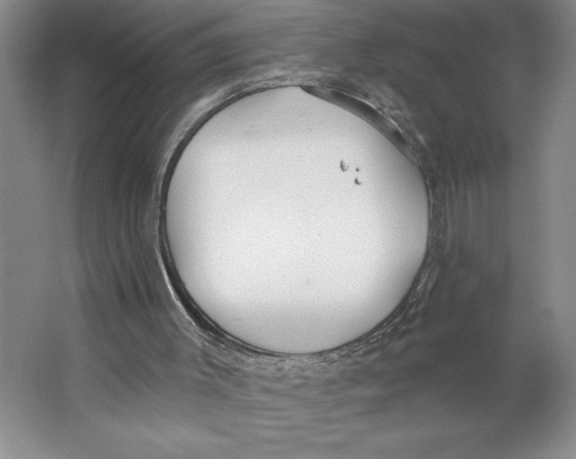 X0000062140003200512301539