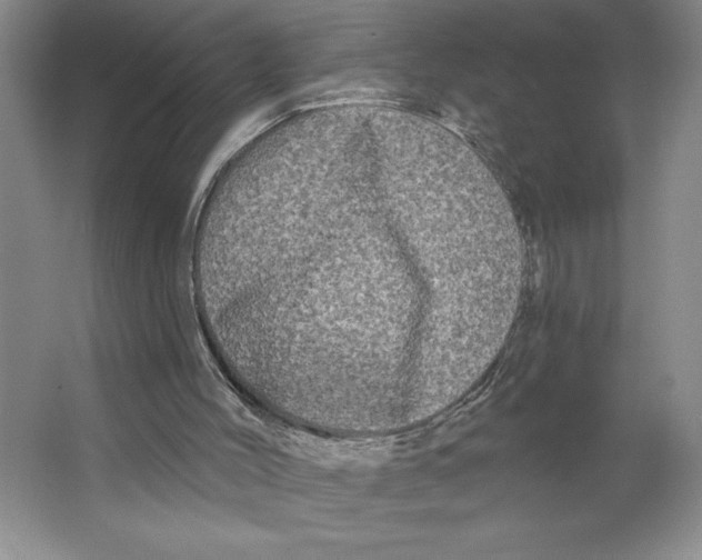 X0000062140004200512301539