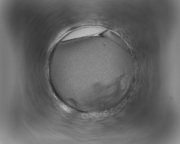 X0000062140005200512301539