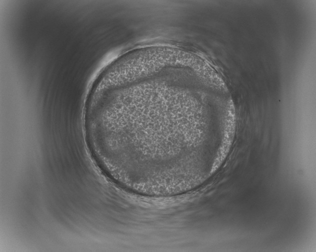 X0000062140006200512301539