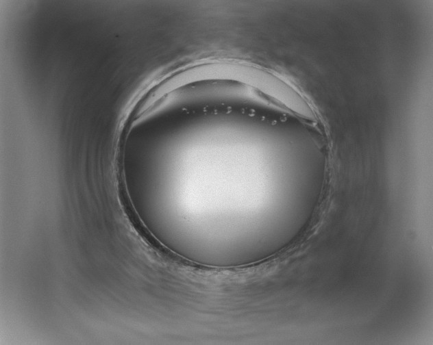 X0000062140007200512301539