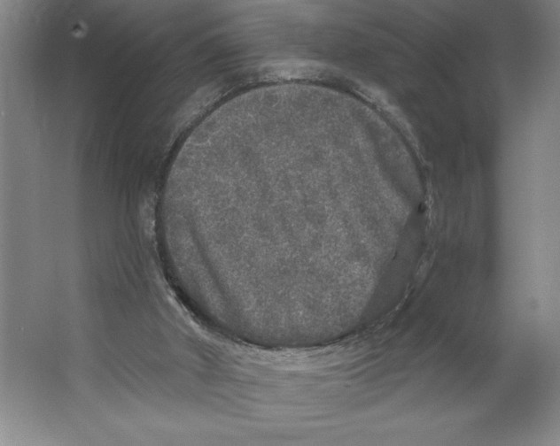 X0000062140010200512301539