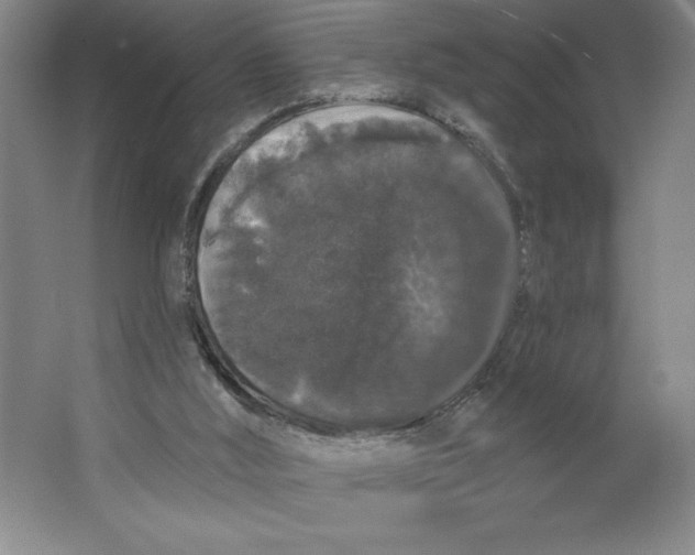 X0000062140012200512301539