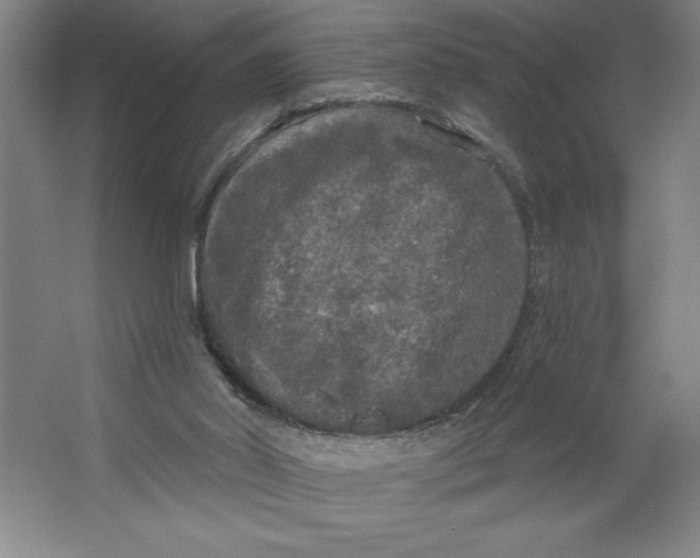 X0000062140014200512301539