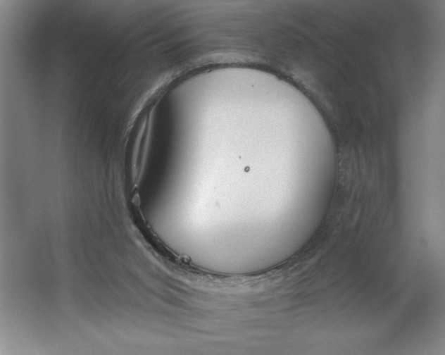 X0000062140015200512301539