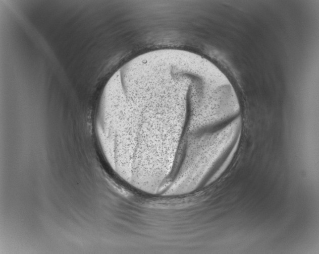 X0000062140017200512301539