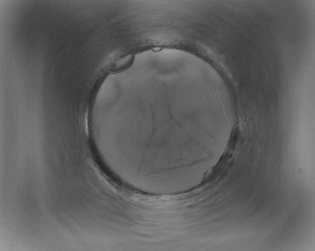 X0000062140019200512301539