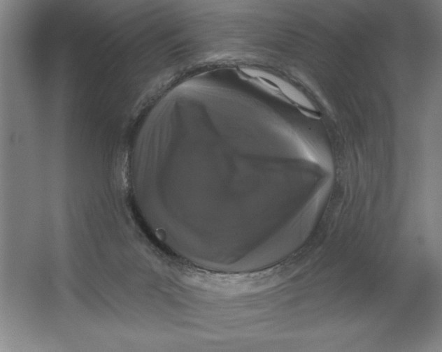 X0000062140023200512301539