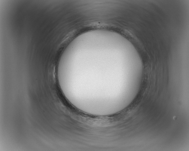 X0000062140024200512301539