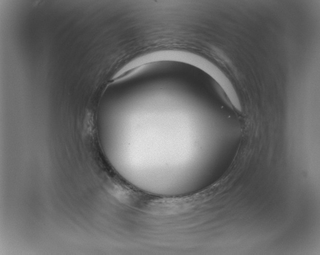 X0000062140025200512301539