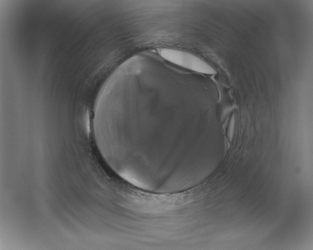 X0000062140027200512301539