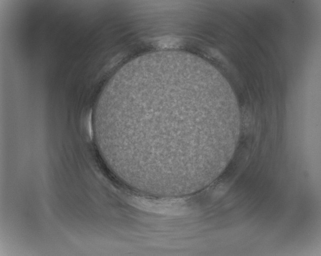 X0000062140028200512301539