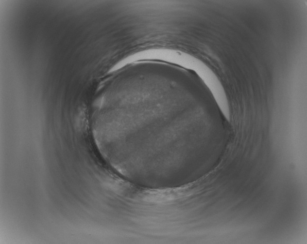 X0000062140029200512301539