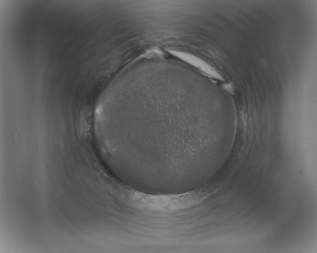 X0000062140030200512301539